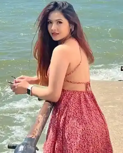 Tenkasi Escort Service